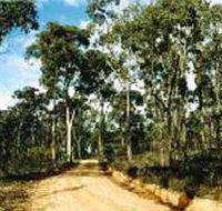 Paddys Ranges State Park - Tourism Caloundra