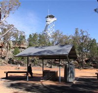 Pilliga Forest Lookout Tower - Tourism Caloundra