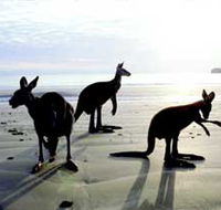 Hibiscus Coast - Tourism Caloundra