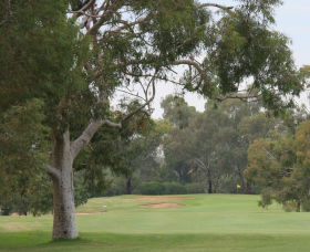 Tocumwal Golf Club - Tourism Caloundra 2