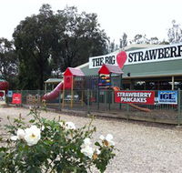 The Big Strawberry - Tourism Caloundra