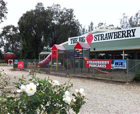 The Big Strawberry - Tourism Caloundra 0