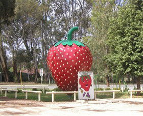 The Big Strawberry - Tourism Caloundra 1
