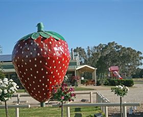The Big Strawberry - Tourism Caloundra 2