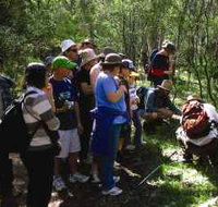 Warrumbungle National Park Discovery Program - Tourism Caloundra