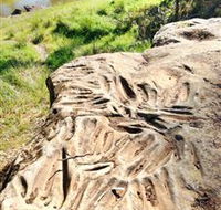 Terramungamine Rock Grooves - Tourism Caloundra