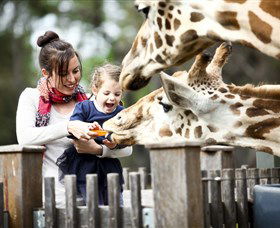 Taronga Western Plains Zoo, Dubbo - Tourism Caloundra 0
