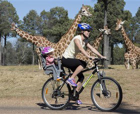 Taronga Western Plains Zoo, Dubbo - Tourism Caloundra 2