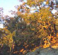 Mount Alexander Regional Park - Tourism Caloundra