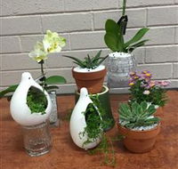 Cobram Florist - Tourism Caloundra