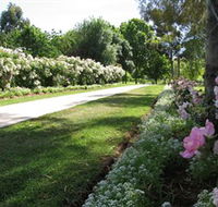 Barooga Botanical Gardens - Tourism Caloundra
