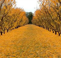 Sun Country on the Murray Farm Gate Trail - Tourism Caloundra
