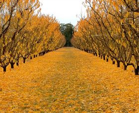 Sun Country On The Murray Farm Gate Trail - Tourism Caloundra 0