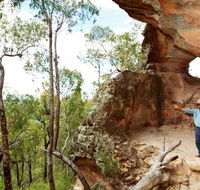 Pilliga National Park - Tourism Caloundra