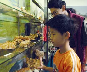 Crystal Kingdom - Tourism Caloundra 2