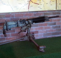 Woodpecker Gun - Tourism Caloundra