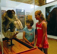 Australian Museum Diprotodon Exhibition - Tourism Caloundra