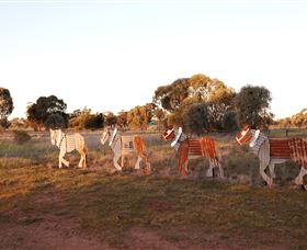 Pastoral Shadows Of Brookong - Tourism Caloundra 2