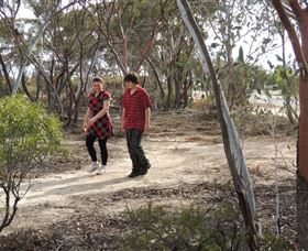 Tamma Parkland - Tourism Caloundra 0