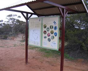 Tamma Parkland - Tourism Caloundra 2