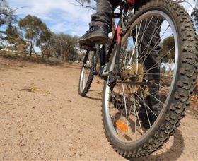 Tamma Parkland - Tourism Caloundra 1