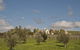 Barcaldine House - thumb 2