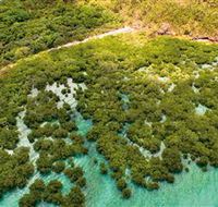The Singapore Shipwreck Dive Site - Keswick Island - Tourism Caloundra