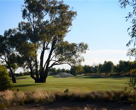 Black Bull Golf Club - Tourism Caloundra 2