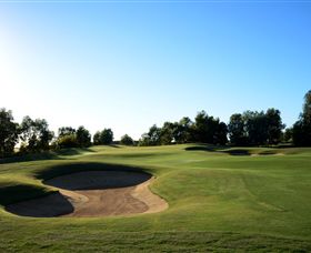 Black Bull Golf Club - Tourism Caloundra 3