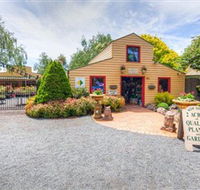 Springhill Nursery - Tourism Caloundra