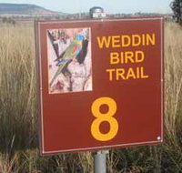 Weddin Bird Trails - Tourism Caloundra