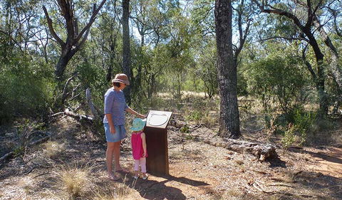 Deriah Aboriginal Information Bay - Tourism Caloundra 1