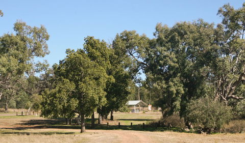 Terry Hie Hie Aboriginal Area - Tourism Caloundra 0