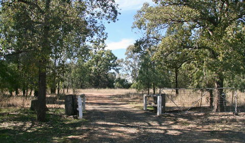Terry Hie Hie Aboriginal Area - Tourism Caloundra 2