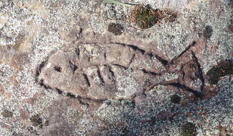 Terry Hie Hie Aboriginal Area - Tourism Caloundra 3
