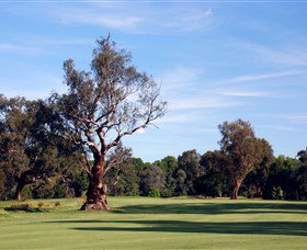Corowa Golf Club - Tourism Caloundra 5