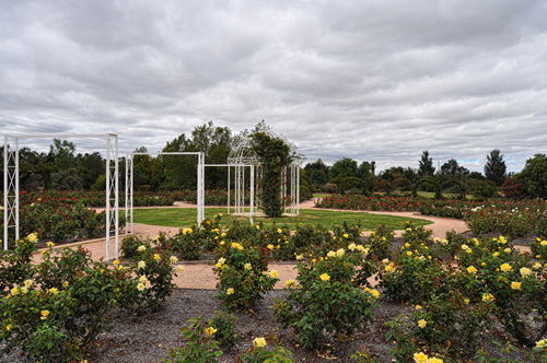 Buronga NSW Tourism Caloundra