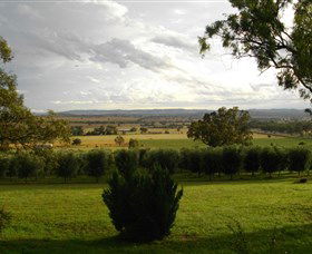 Wollundry Grove Olives - Tourism Caloundra 1