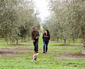 Wollundry Grove Olives - Tourism Caloundra 3
