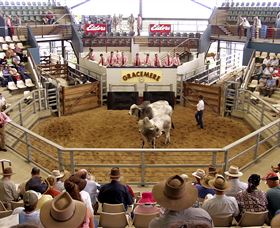 Gracemere Exhibition Complex - Tourism Caloundra 1