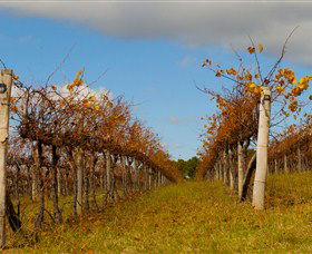 Charles Sturt University Winery Wagga Wagga - Tourism Caloundra 3