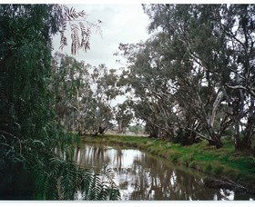 Henty Government Dam Nature Reserve - Tourism Caloundra 0