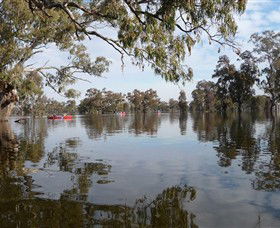 Henty Government Dam Nature Reserve - Tourism Caloundra 1