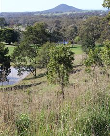 Mt Piper Nature Conservation Reserve - Tourism Caloundra 1