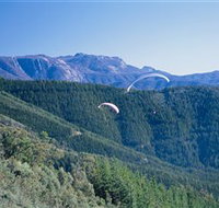 Buffalo Brewery - Tourism Caloundra