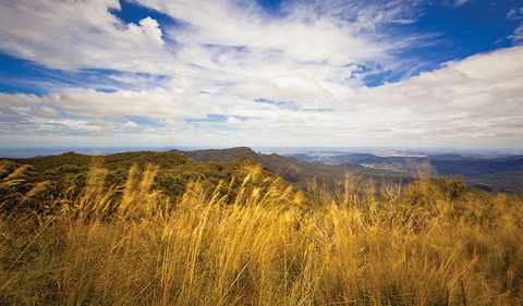 Mount Kaputar Summit Walk - Tourism Caloundra 1