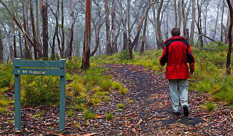 Mount Kaputar Summit Walk - Tourism Caloundra 2