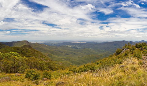 Mount Kaputar Summit Walk - Tourism Caloundra 3
