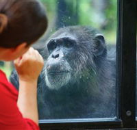 The Rockhampton Zoo - Tourism Caloundra
