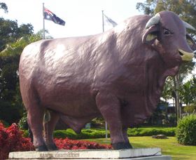 Rockhampton Bull Statues - Tourism Caloundra 0